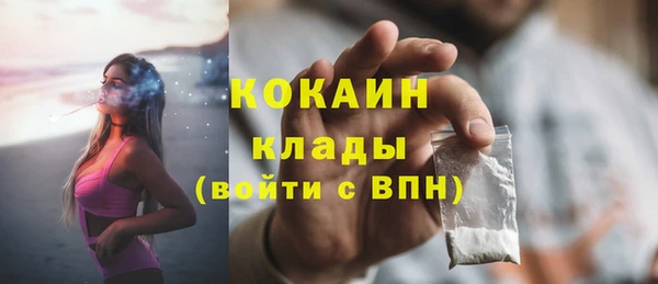 стаф Алзамай