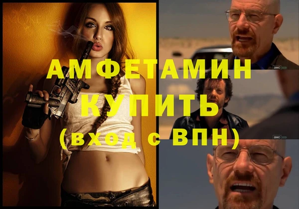 стаф Алзамай
