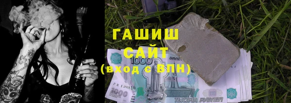 стаф Алзамай