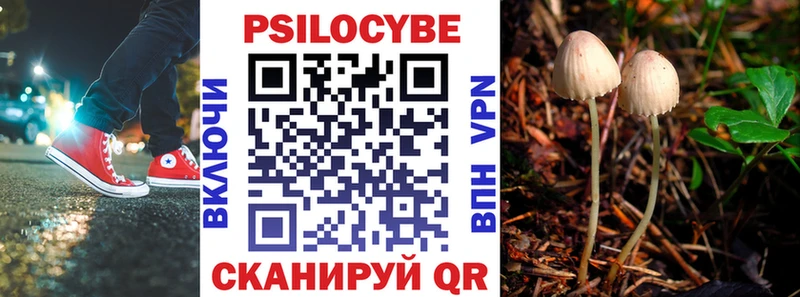 Псилоцибиновые грибы мухоморы  hydra онион  Балтийск 